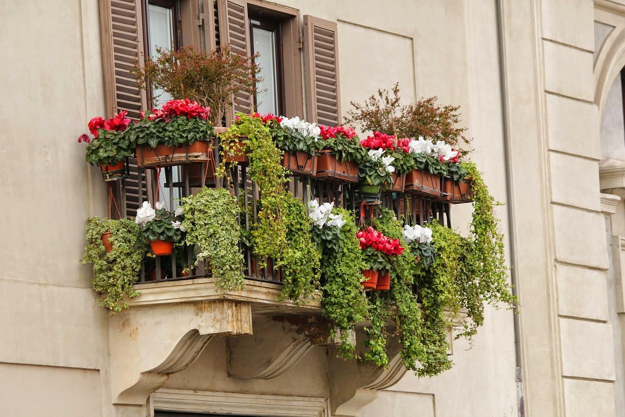 Piante verdi su un balcone, ideali per purificare l'aria esterna.